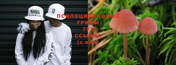 меф Коряжма