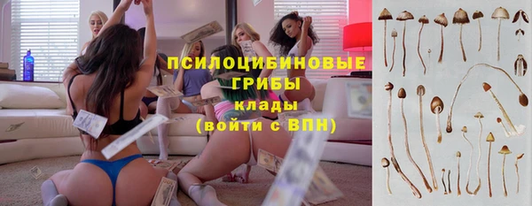 меф Коряжма