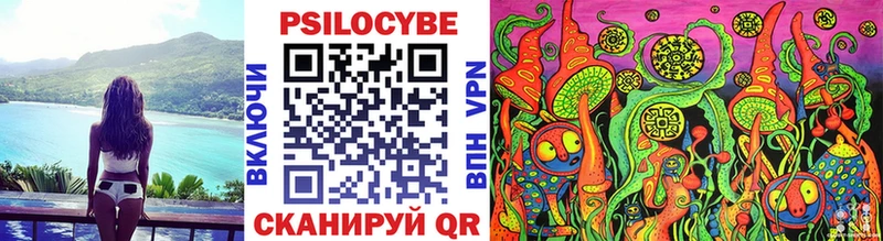 Псилоцибиновые грибы Psilocybe  закладка  маркетплейс как зайти  Красный Холм 